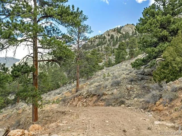 825 Castle Mountain Road Estes Park, CO 80517