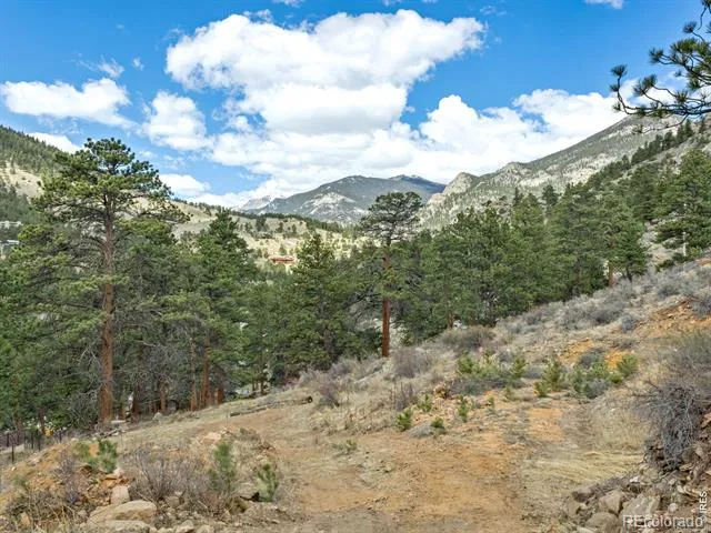 825 Castle Mountain Road Estes Park, CO 80517