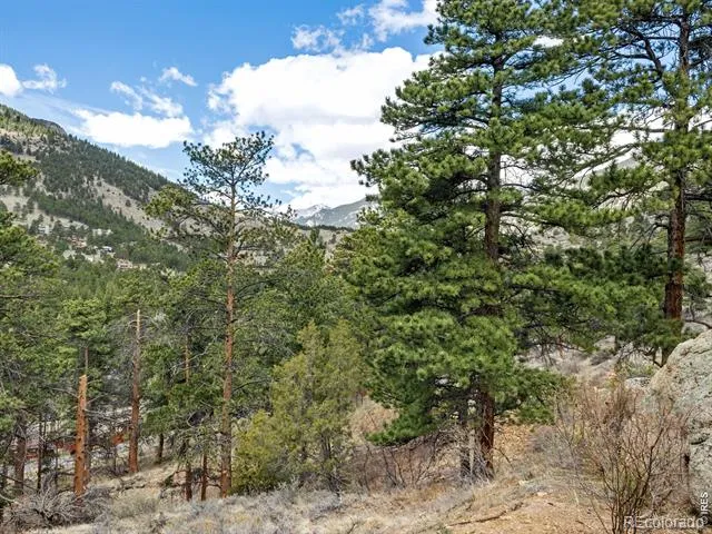 825 Castle Mountain Road Estes Park, CO 80517