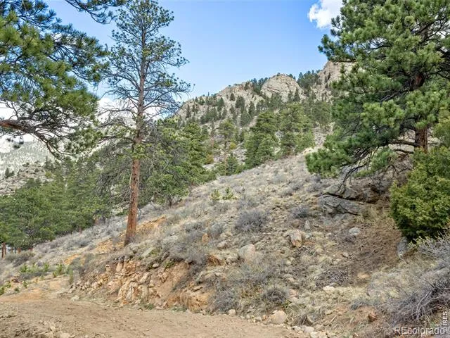 825 Castle Mountain Road Estes Park, CO 80517