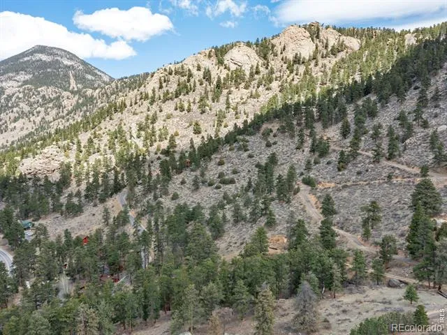 825 Castle Mountain Road Estes Park, CO 80517