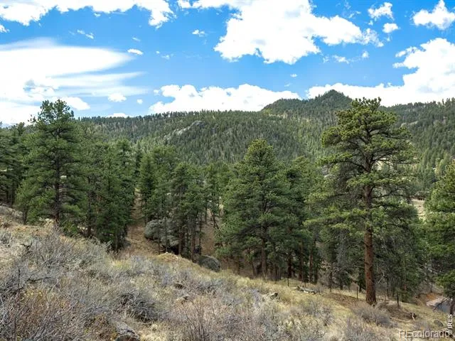 825 Castle Mountain Road Estes Park, CO 80517