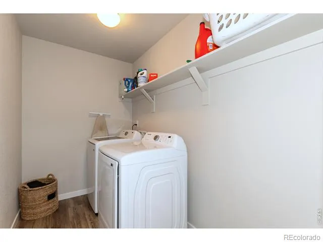 1249 Wild Basin Road Severance, CO 80550