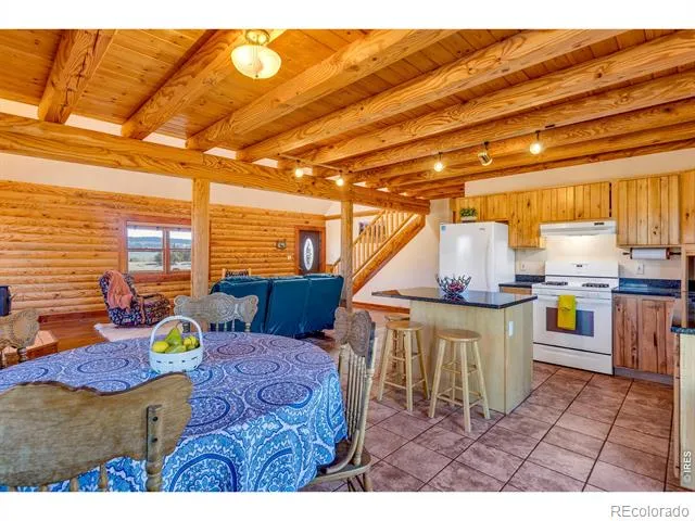1528 Silverheels Road Fairplay, CO 80440