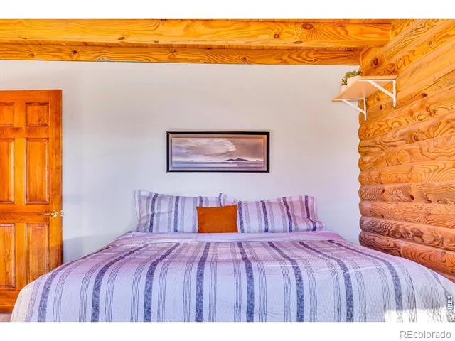 1528 Silverheels Road Fairplay, CO 80440