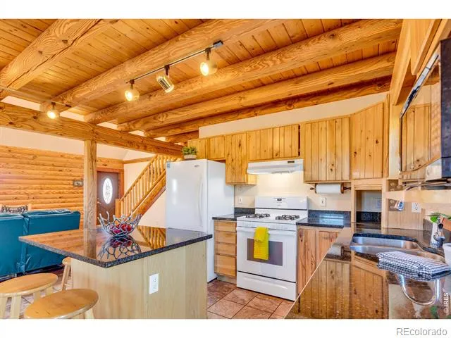 1528 Silverheels Road Fairplay, CO 80440