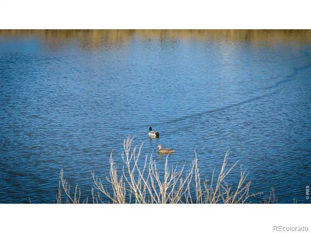 5111 E County Road 62 Wellington, CO 80549