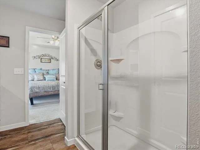 715 Apex Trail Ault, CO 80610