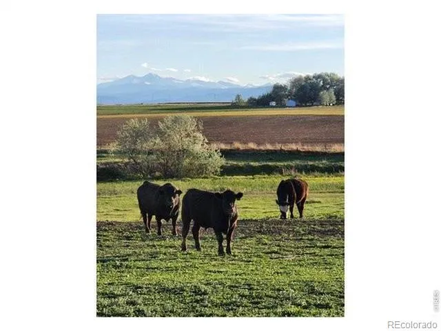 0 County Road 76 1/2 Windsor, CO 80550