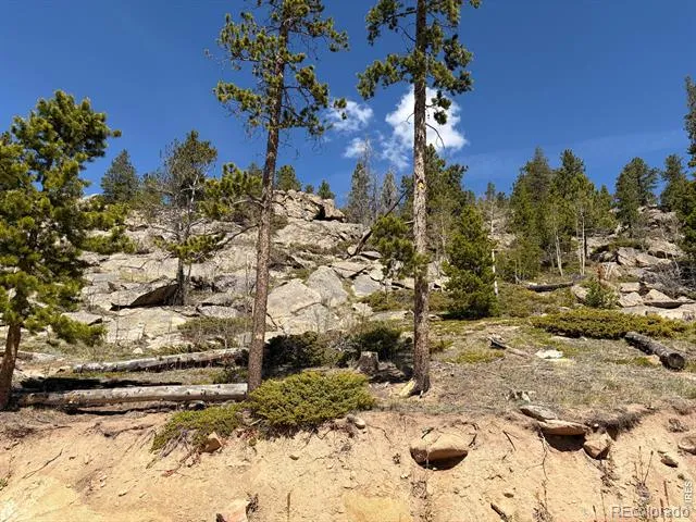 726 Micmac Drive Red Feather Lakes, CO 80545