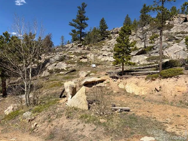 726 Micmac Drive Red Feather Lakes, CO 80545