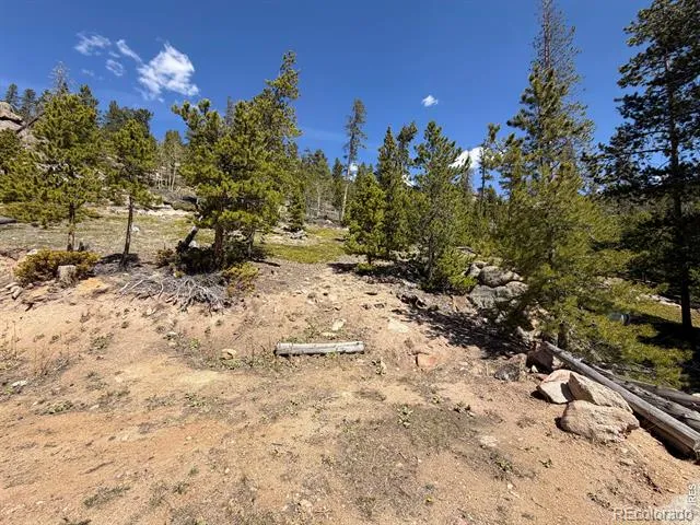 726 Micmac Drive Red Feather Lakes, CO 80545