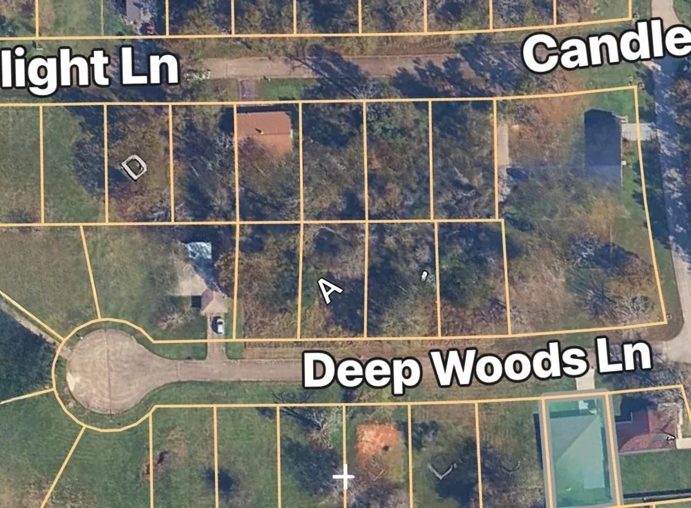 Deep Woods Lane Lane Livingston, TX 77351