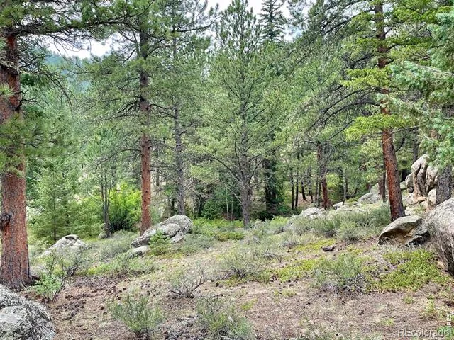 0 Hemlock Drive Lyons, CO 80540