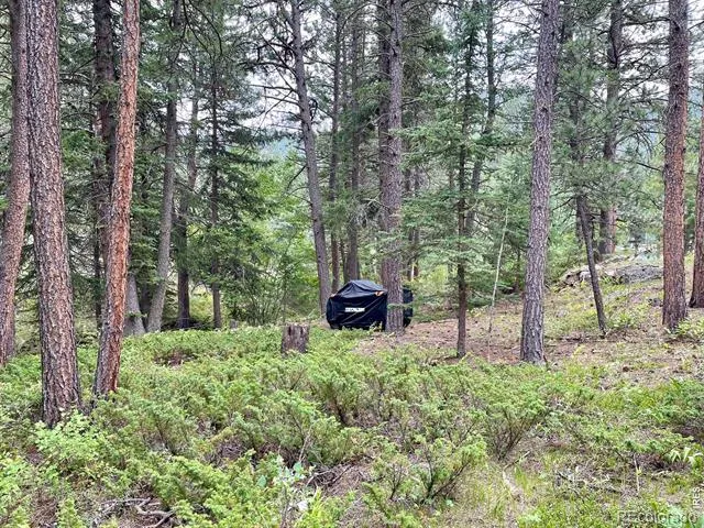 0 Hemlock Drive Lyons, CO 80540