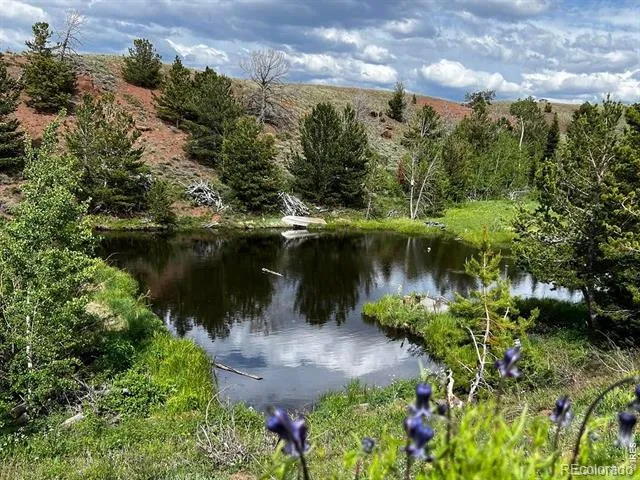 130 Forest Way Red Feather Lakes, CO 80545