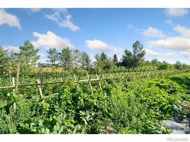 12155 County Road 15 Wellington, CO 80549