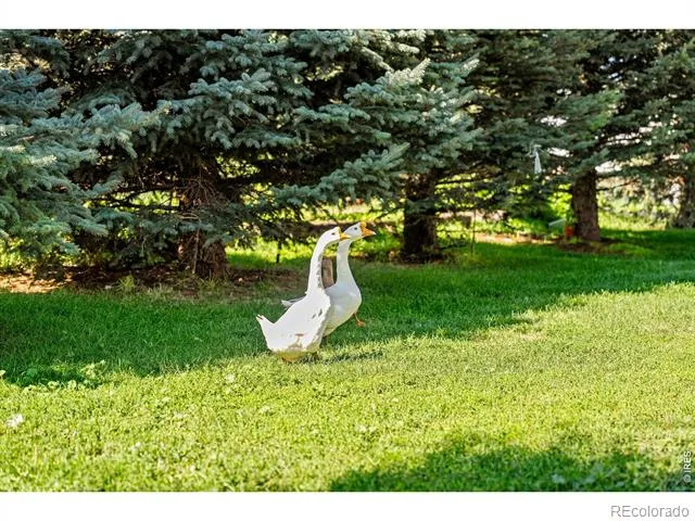 12155 County Road 15 Wellington, CO 80549