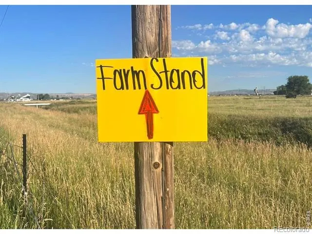12155 County Road 15 Wellington, CO 80549