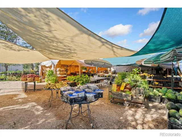 12155 County Road 15 Wellington, CO 80549