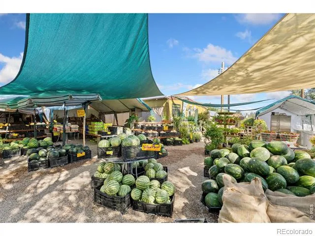 12155 County Road 15 Wellington, CO 80549