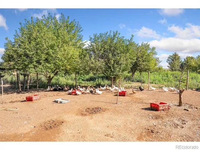 12155 County Road 15 Wellington, CO 80549