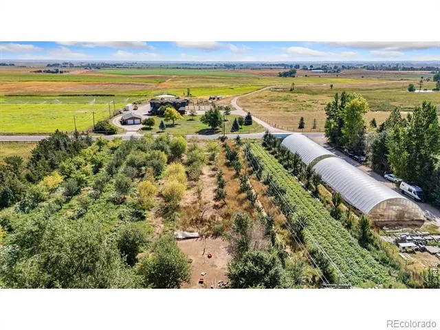 12155 County Road 15 Wellington, CO 80549