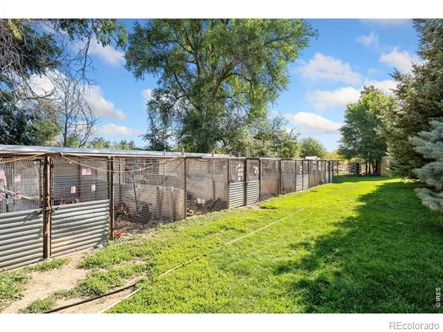 12155 County Road 15 Wellington, CO 80549