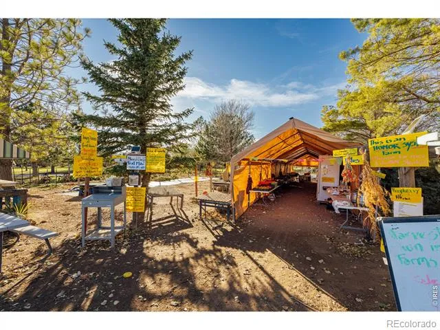 12155 County Road 15 Wellington, CO 80549