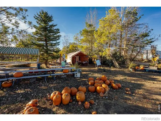 12155 County Road 15 Wellington, CO 80549