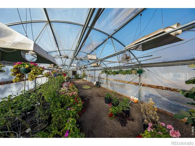 12155 County Road 15 Wellington, CO 80549
