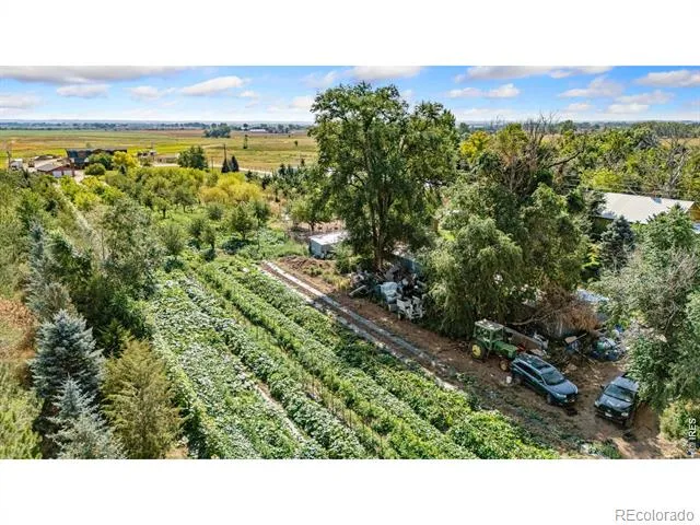 12155 County Road 15 Wellington, CO 80549