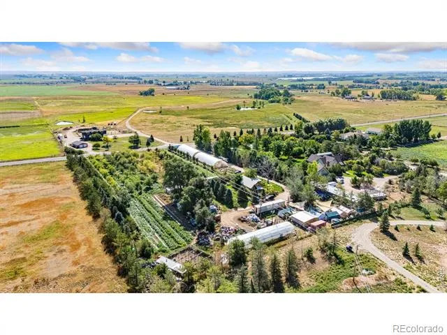 12155 County Road 15 Wellington, CO 80549
