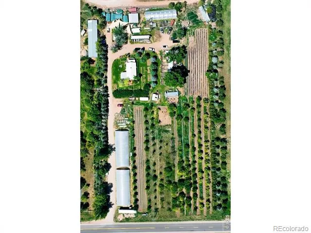 12155 County Road 15 Wellington, CO 80549