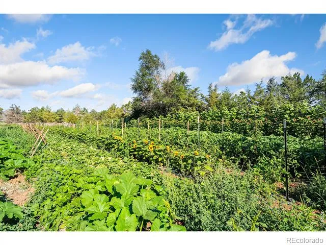 12155 County Road 15 Wellington, CO 80549