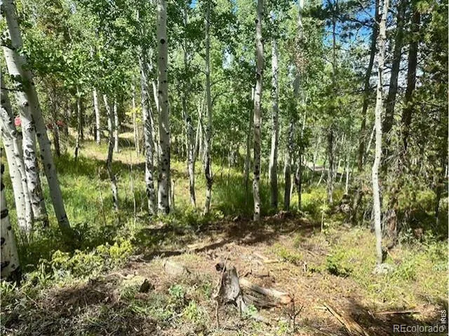 293 Aspen Circle Black Hawk, CO 80422
