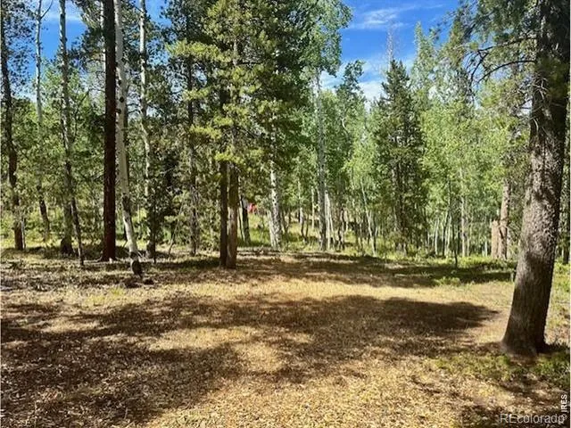 293 Aspen Circle Black Hawk, CO 80422