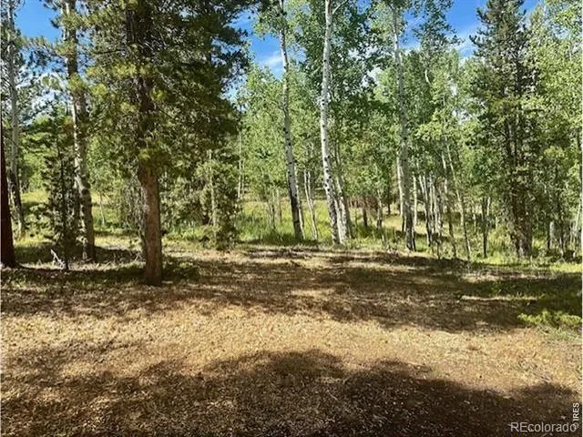 293 Aspen Circle Black Hawk, CO 80422
