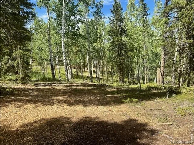 293 Aspen Circle Black Hawk, CO 80422