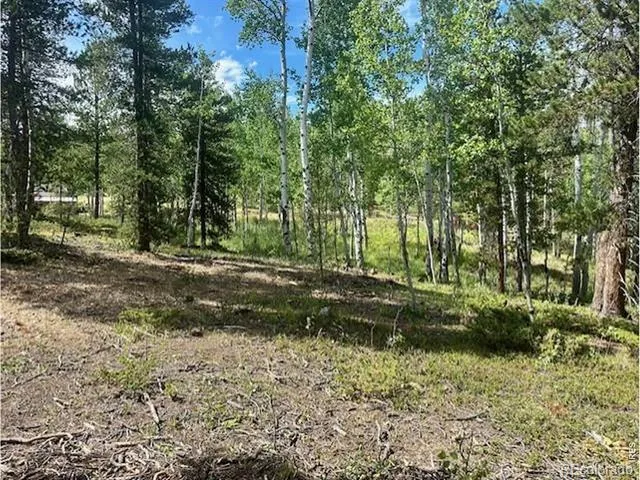 293 Aspen Circle Black Hawk, CO 80422