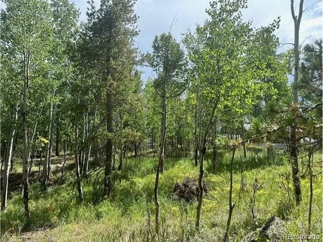 293 Aspen Circle Black Hawk, CO 80422