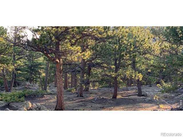 12190 Highway 7 Allenspark, CO 80510