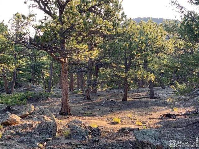 12190 Highway 7 Allenspark, CO 80510
