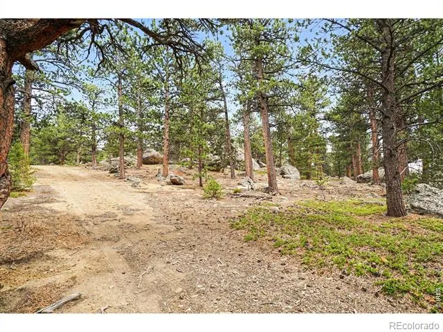 12190 Highway 7 Allenspark, CO 80510
