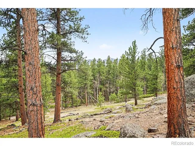 12190 Highway 7 Allenspark, CO 80510