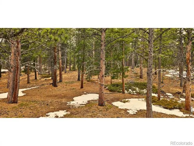 12190 Highway 7 Allenspark, CO 80510
