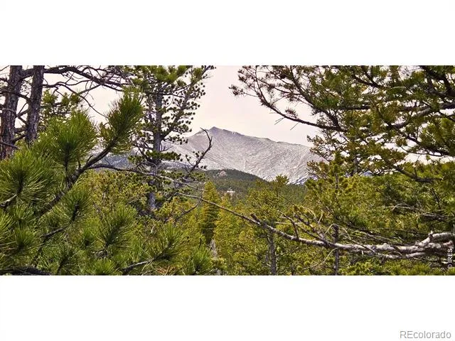 12190 Highway 7 Allenspark, CO 80510