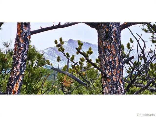 12190 Highway 7 Allenspark, CO 80510