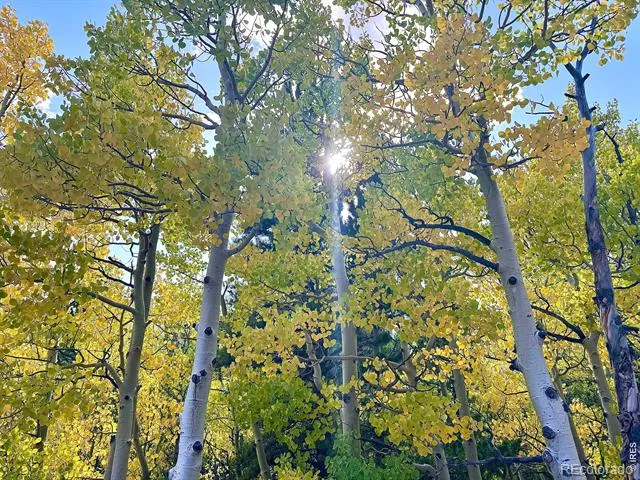 49 Pine Drive Lyons, CO 80540
