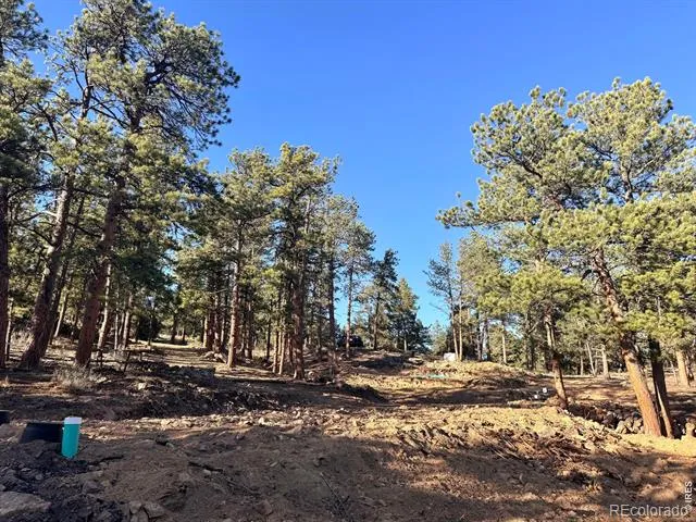 49 Pine Drive Lyons, CO 80540